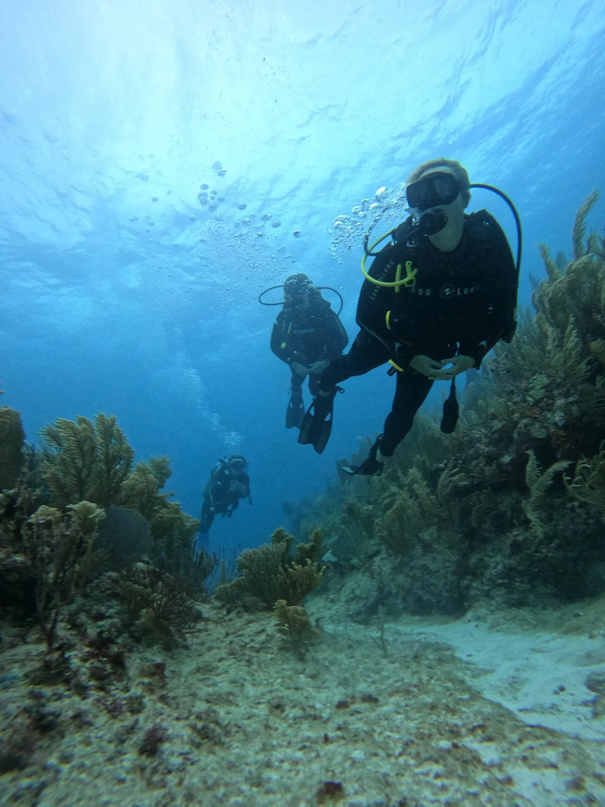 Buzos a la deriva sobre corales blandos y abanicos de mar en un arrecife de Cozumel