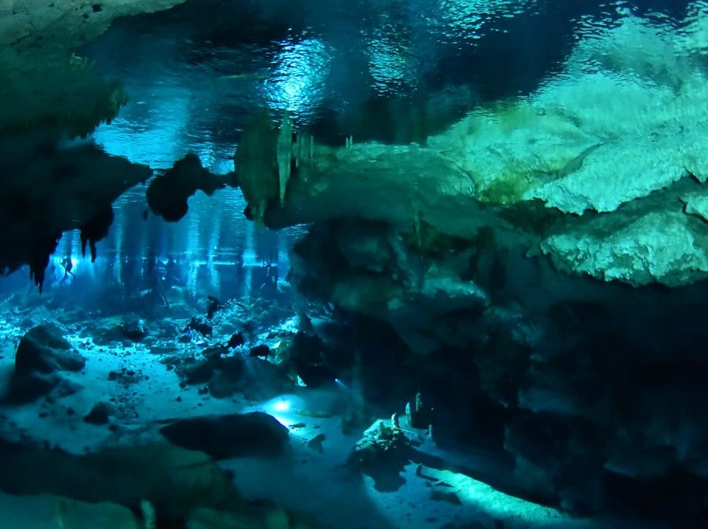 Instructor de buceo PADI guiando a un grupo pequeño de buzos en Tulum